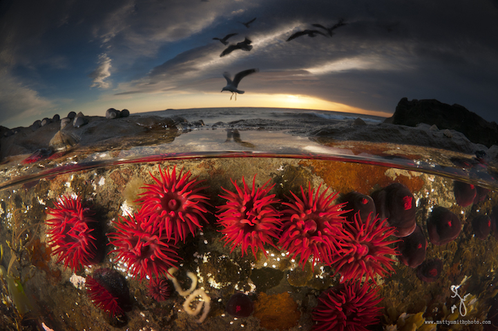 Life Above and Below Sea Level – Majestic Photo Gallery geotv.ge